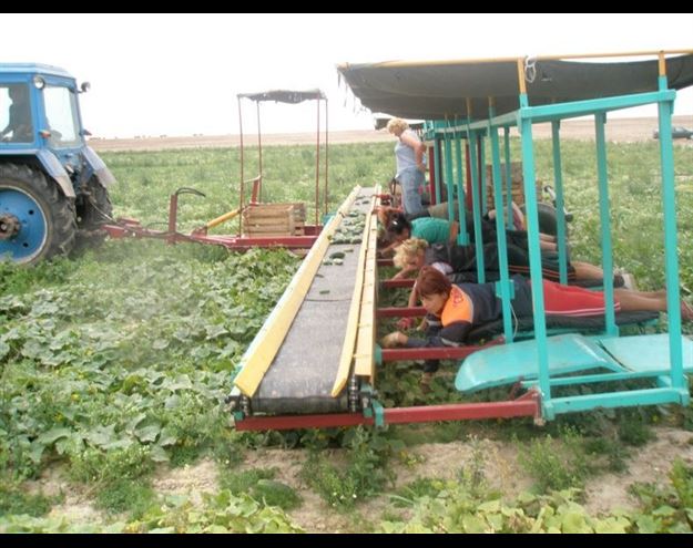دراز بکشید و کار کنید (+عکس)