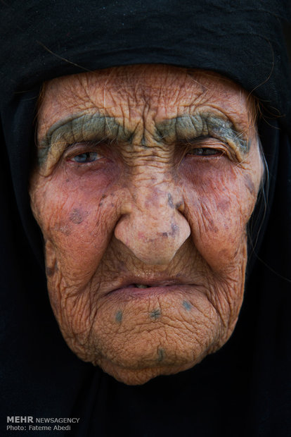 (تصاویر)-دای، استوارتر از درخت بلوط