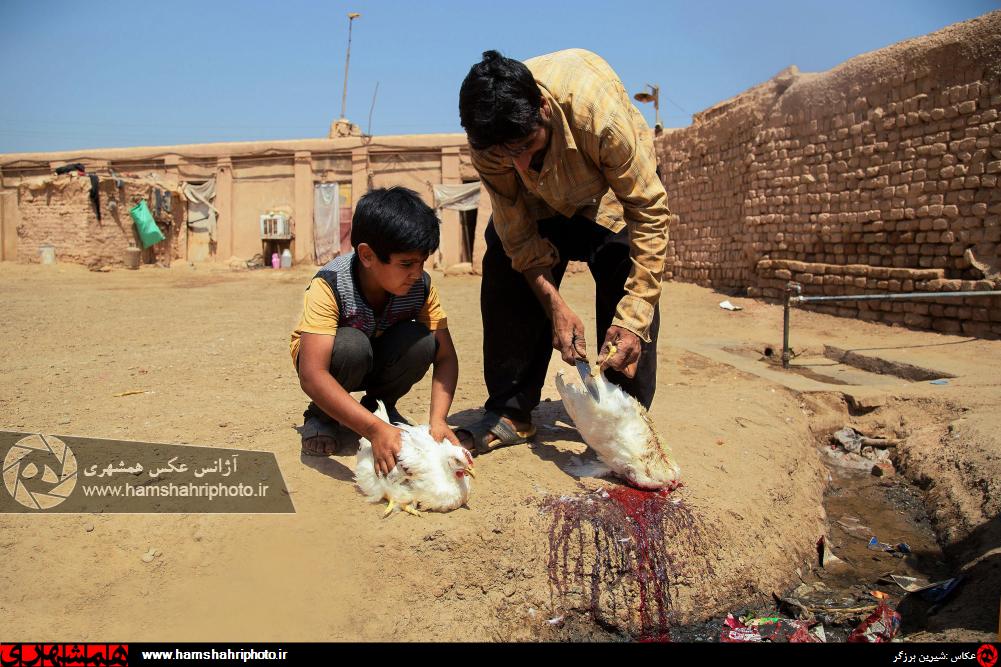 (تصاویر)-زندگی به رنگ خشت و خاک