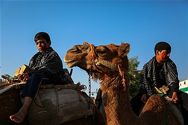 (تصاویر)-حرکت کاروان نمادین اسرای کربلا در قم
