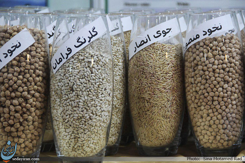 (تصاویر)-دستاورد های پژوهشی و فناوری های حوزه کشاورزی و علوم گیاهی