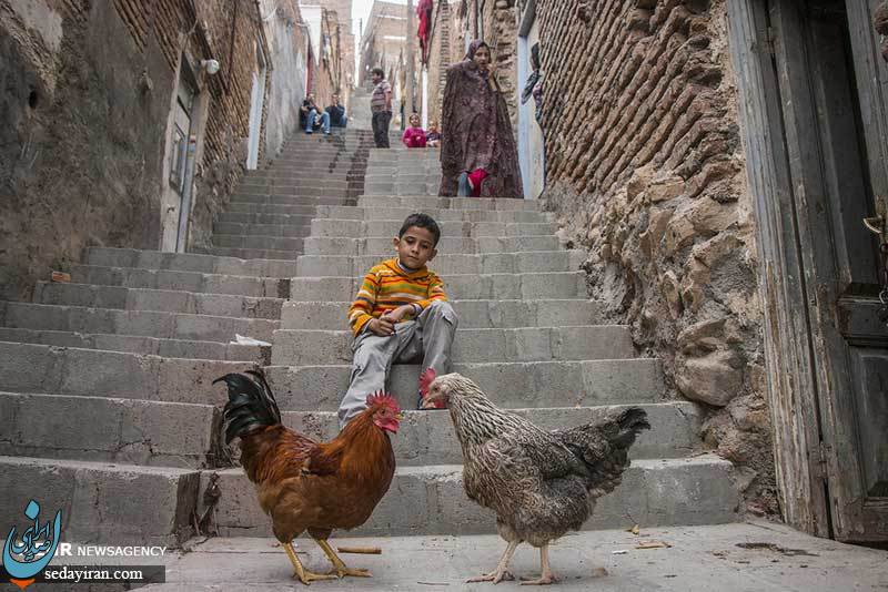 (تصاویر) آن سوی شهر