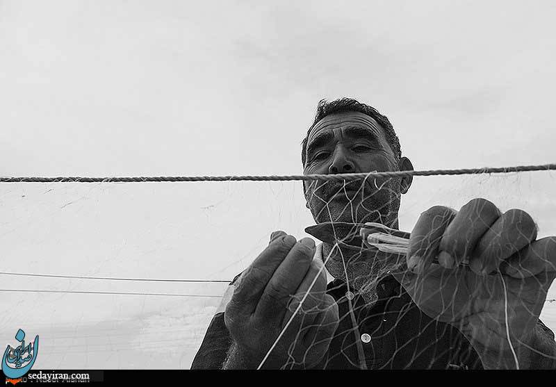 (تصاویر) صید ماهی در سواحل دریای خزر