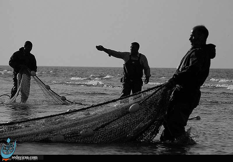 (تصاویر) صید ماهی در سواحل دریای خزر