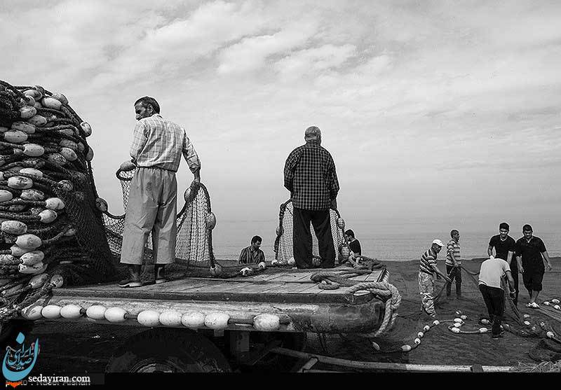 (تصاویر) صید ماهی در سواحل دریای خزر