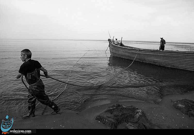 (تصاویر) صید ماهی در سواحل دریای خزر