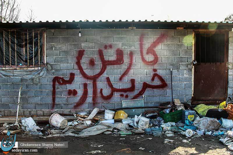 (تصاویر) لقمه نانی از ضایعات!