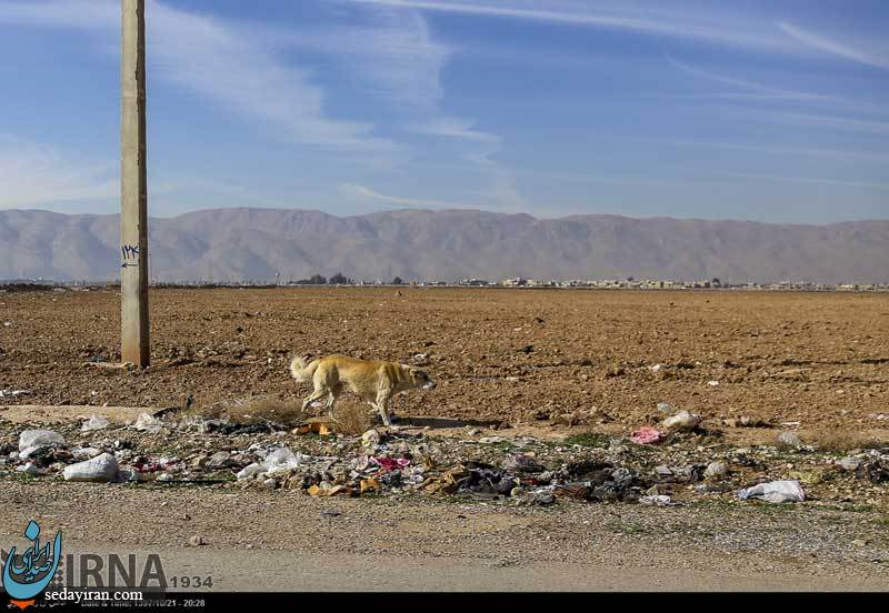 (تصاویر) اینجا خبری از عروسک نیست