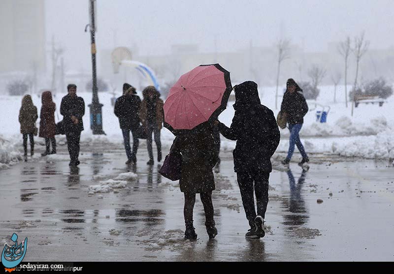 (تصاویر) بارش برف در اردبیل