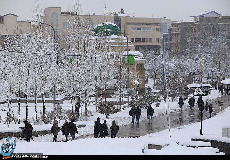 (تصاویر) بارش برف در اردبیل
