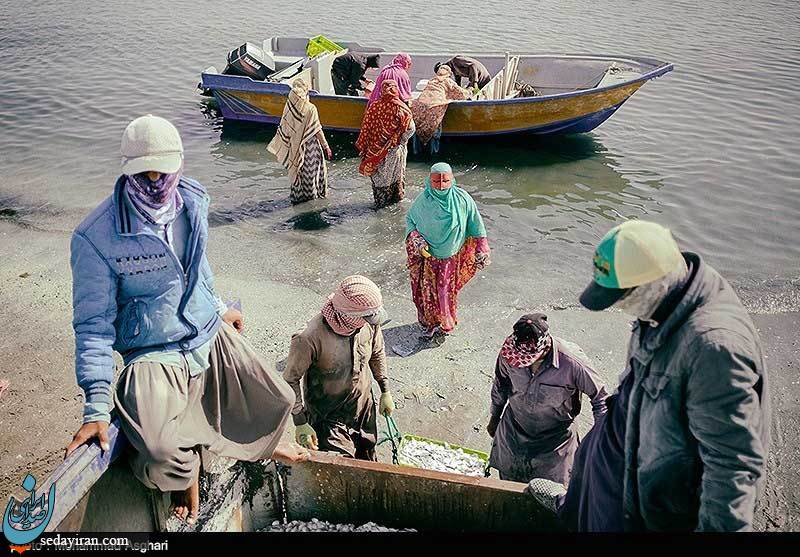 (تصاویر) از دریا به دریا