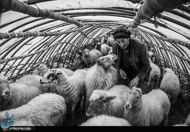 (تصاویر) زندگی ساده در روستای شامیلرزان