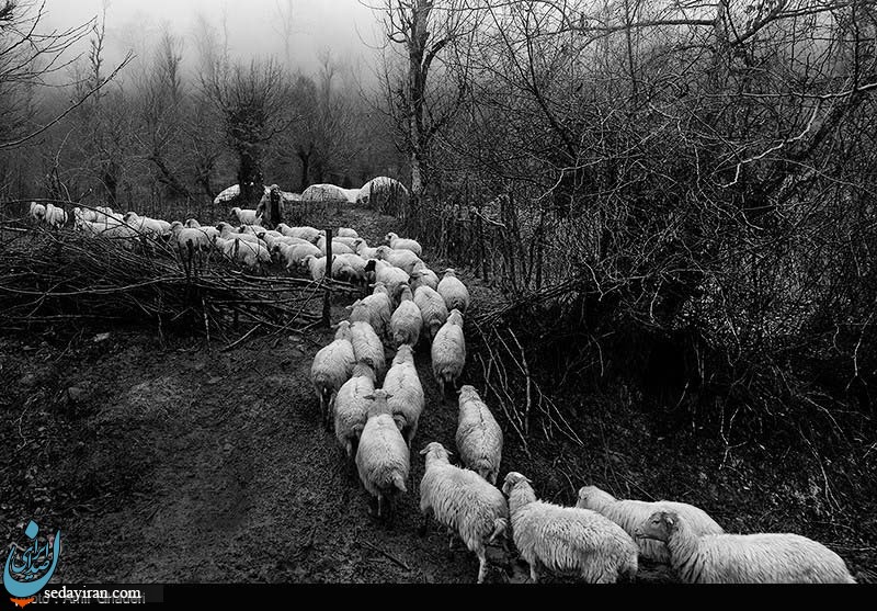 (تصاویر) زندگی ساده در روستای شامیلرزان