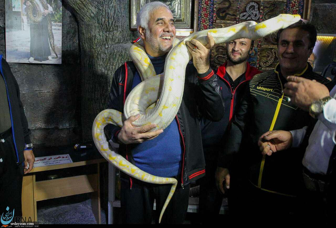 (تصویر) مار در گردن محسن مهرعلیزاده!