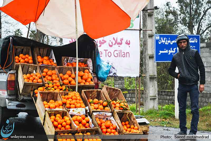 (تصاویر) عکس های خیابانی از شمال ایران