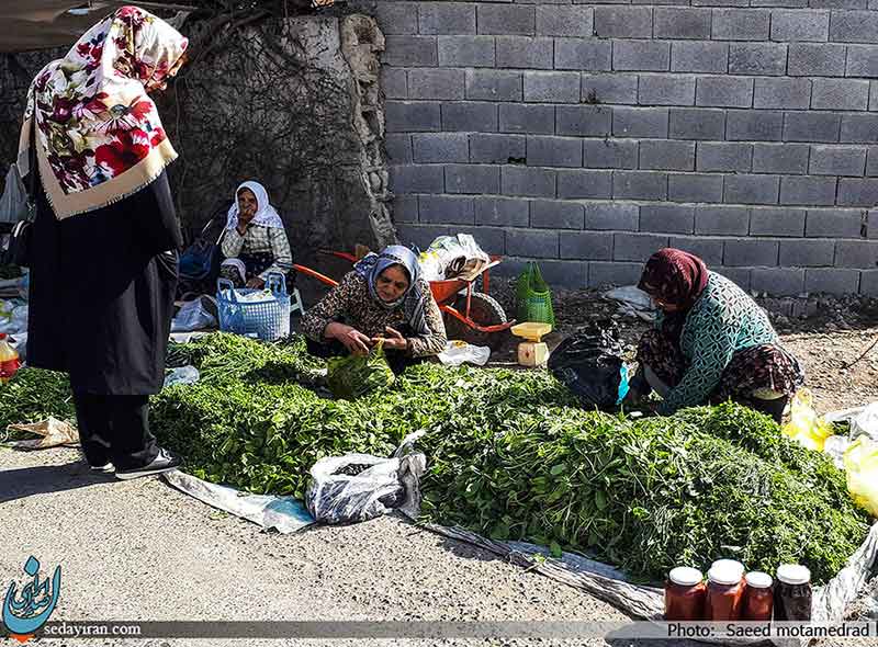 (تصاویر) عکس های خیابانی از شمال ایران
