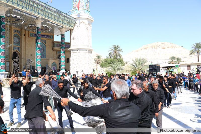 (تصاویر) مراسم عزاداری شهادت امام رضا(ع) 