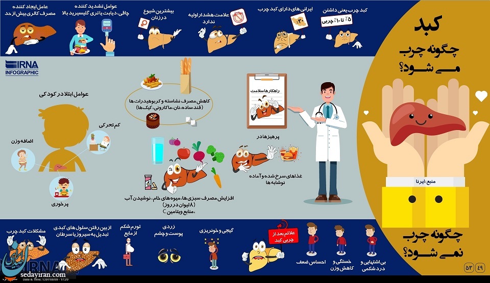 ( اینفوگرافی) مراحل چرب شدن کبد