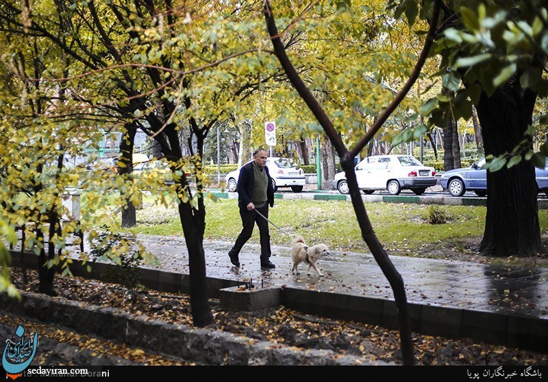 (تصاویر) باران پاییزی تهران