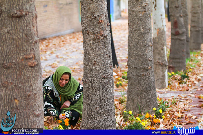 (تصاویر) زیبایهای کم نظیر فارس