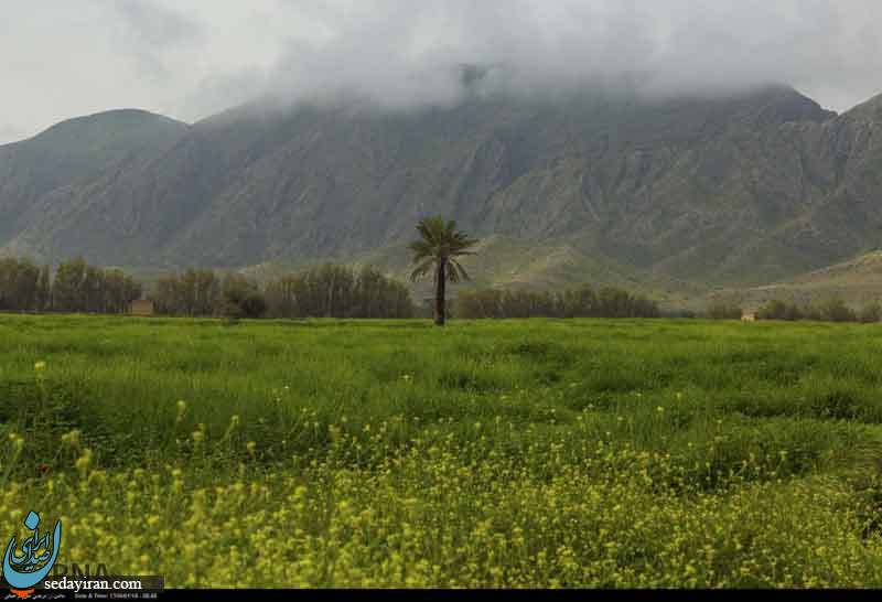 (تصاویر) طبیعت زیبای دشت کاریان
