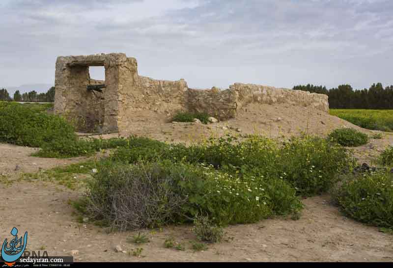 (تصاویر) طبیعت زیبای دشت کاریان