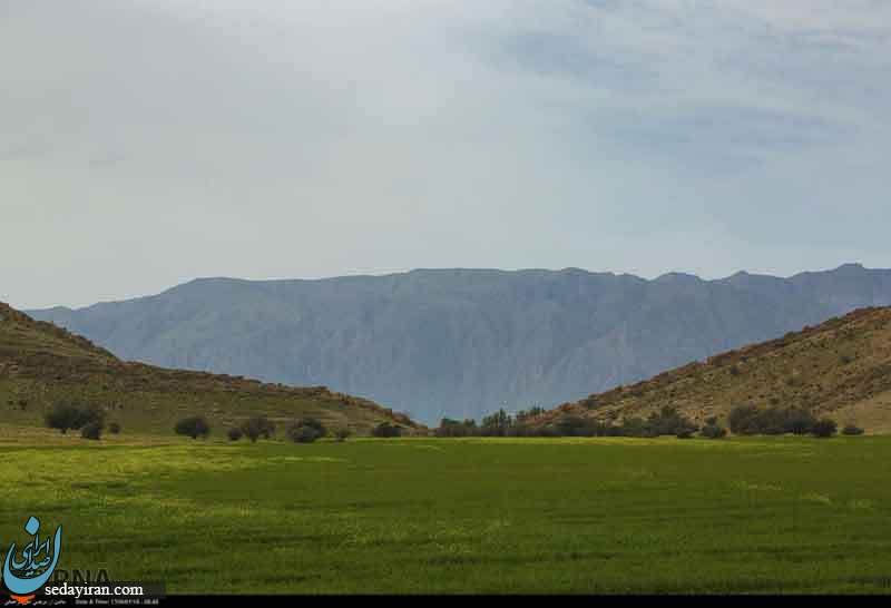 (تصاویر) طبیعت زیبای دشت کاریان