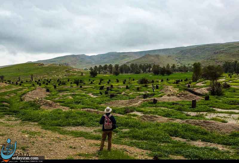 (تصاویر) بررسی های باستان شناسی لارستان