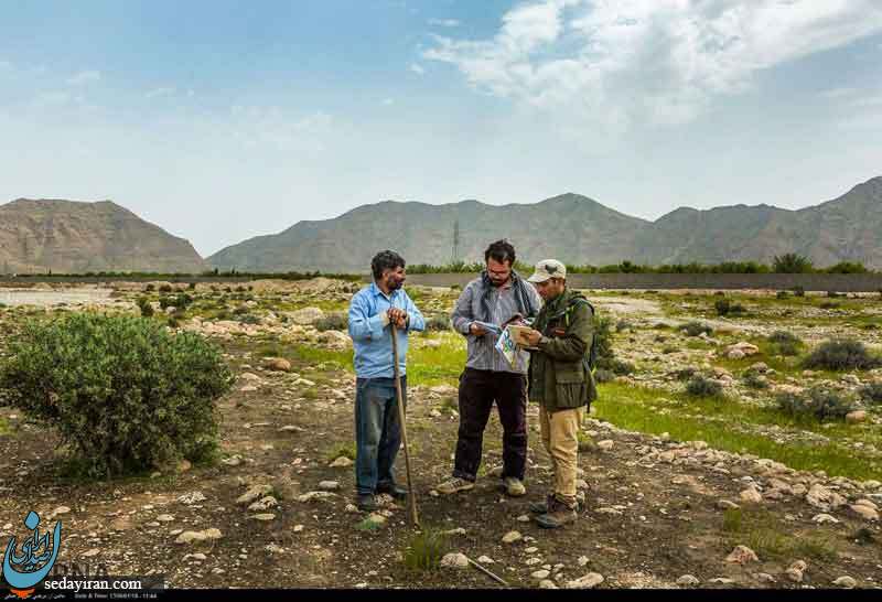 (تصاویر) بررسی های باستان شناسی لارستان