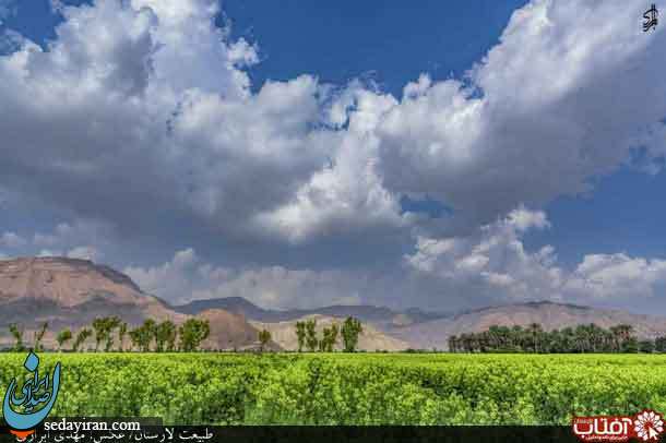 (تصاویر) طبیعت تماشایی شهرستان لارستان
