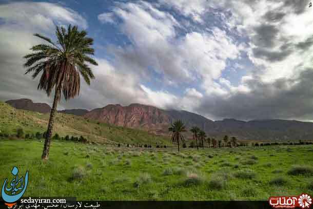 (تصاویر) طبیعت تماشایی شهرستان لارستان