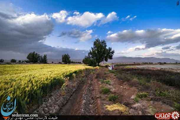 (تصاویر) طبیعت تماشایی شهرستان لارستان