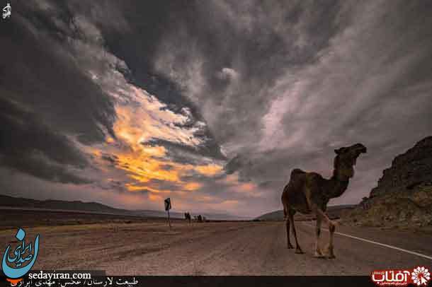 (تصاویر) طبیعت تماشایی شهرستان لارستان
