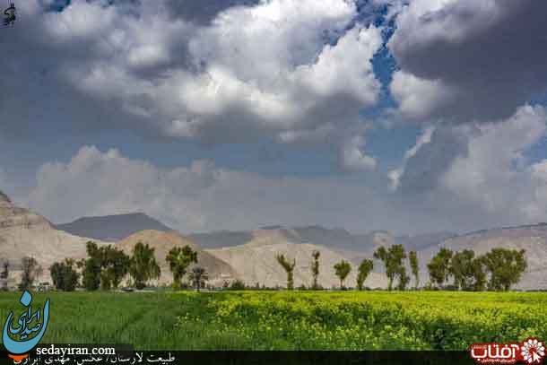 (تصاویر) طبیعت تماشایی شهرستان لارستان