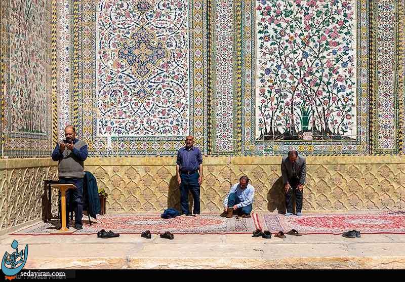 (تصاویر) سرزمین مادری/ مسجد وکیل شیراز