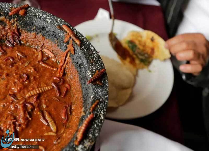(تصاویر) چندش آورترین غذاهای دنیا
