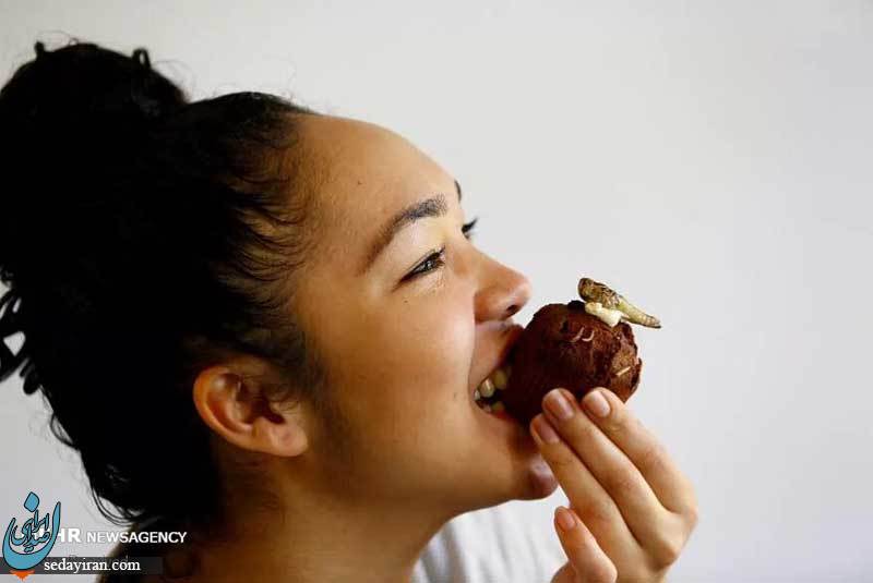 (تصاویر) چندش آورترین غذاهای دنیا