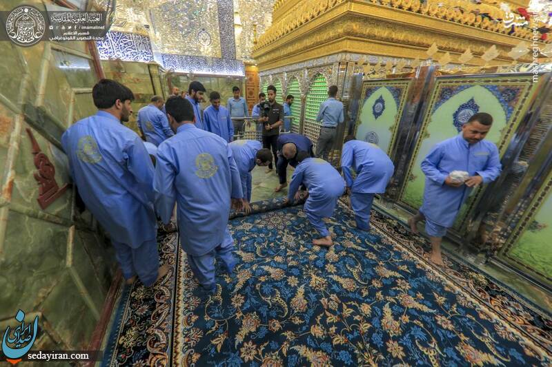 عکس/ غبارروبی ضریح حرم مطهر امام علی(ع)