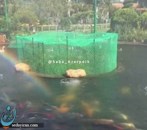 تصاویری از قصر دستیار بابک زنجانی