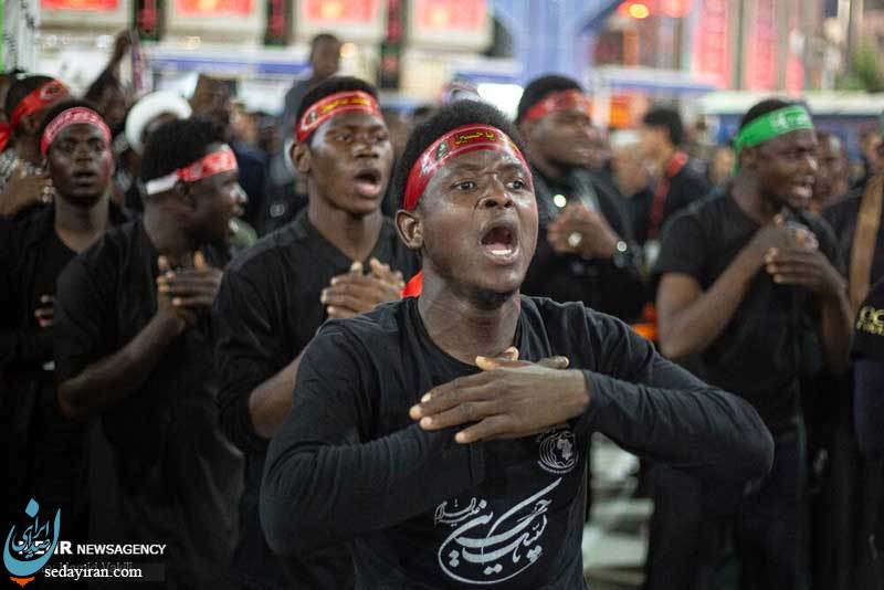 (تصاویر) اربعین حسینی(ع) در کربلای معلی