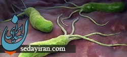 چند توصیه به مبتلایان به هلیکوباکتر پیلوری