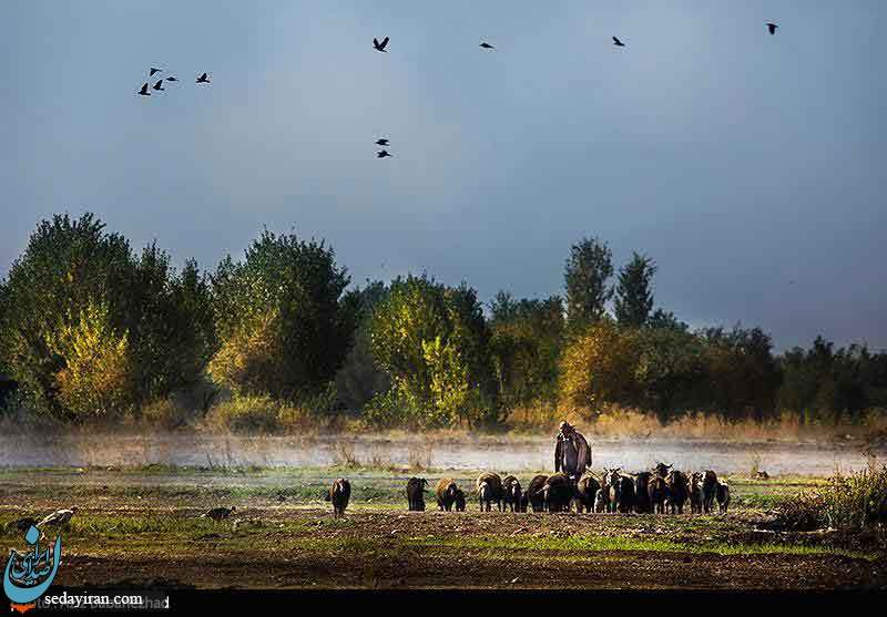 (تصاویر) طبیعت پاییزی شهر الشتر - لرستان