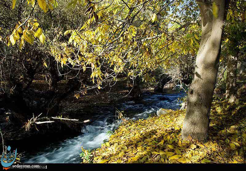(تصاویر) طبیعت پاییزی شهر الشتر - لرستان