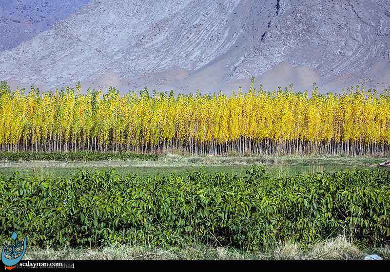 (تصاویر) طبیعت پاییزی شهر الشتر - لرستان