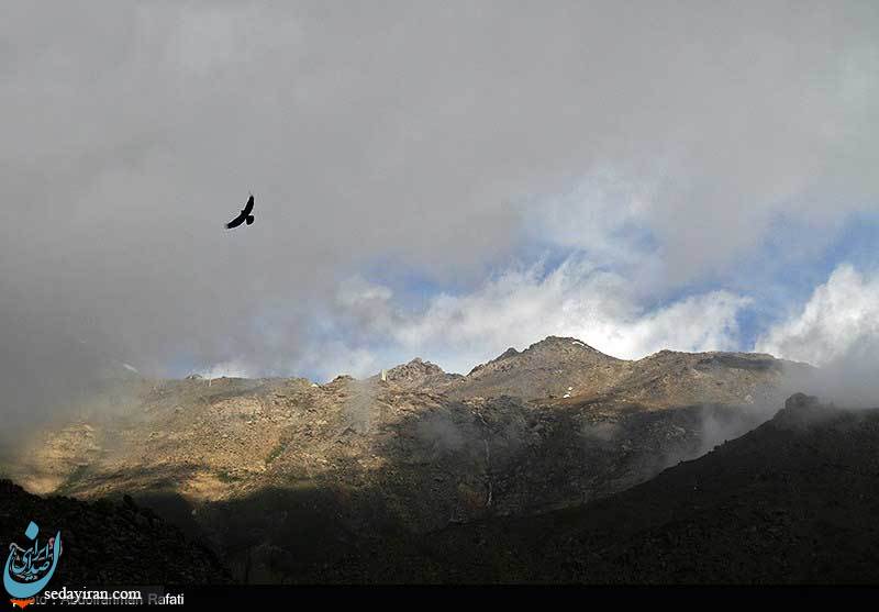 (تصاویر) ابر و مه در کوهستان الوند
