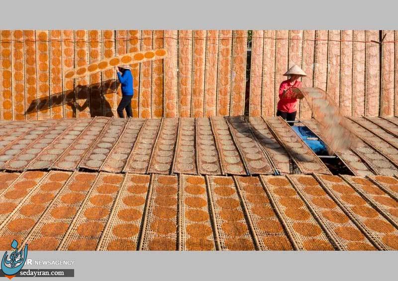 (تصاویر) برگزیدگان مسابقه عکاسی غذا در سال ۲۰۲۰