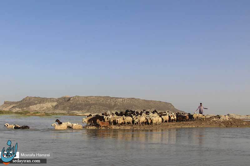 (تصاویر) حالِ خوبِ 