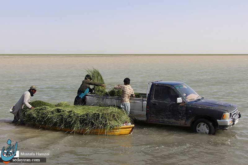 (تصاویر) حالِ خوبِ 