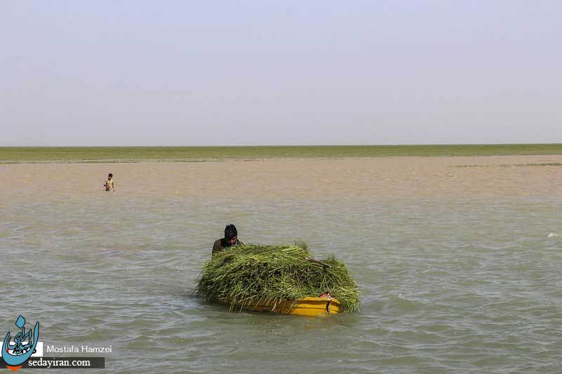 (تصاویر) حالِ خوبِ 