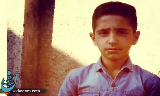 نوجوان میاندوآبی هنگام نجات جان یک سگ دچار حادثه تلخی شد